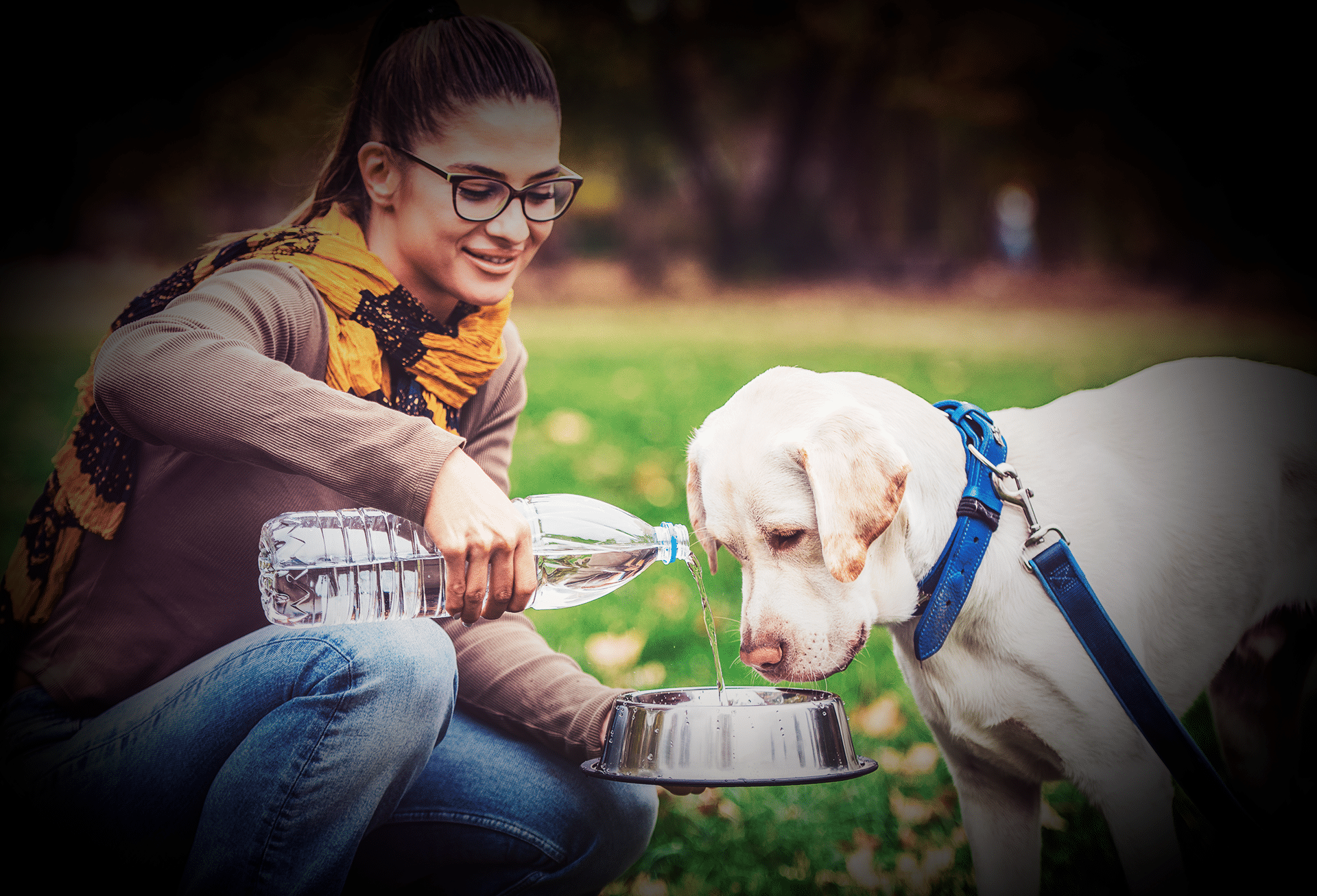 cuánta agua debe beber un cachorro de 6 semanas